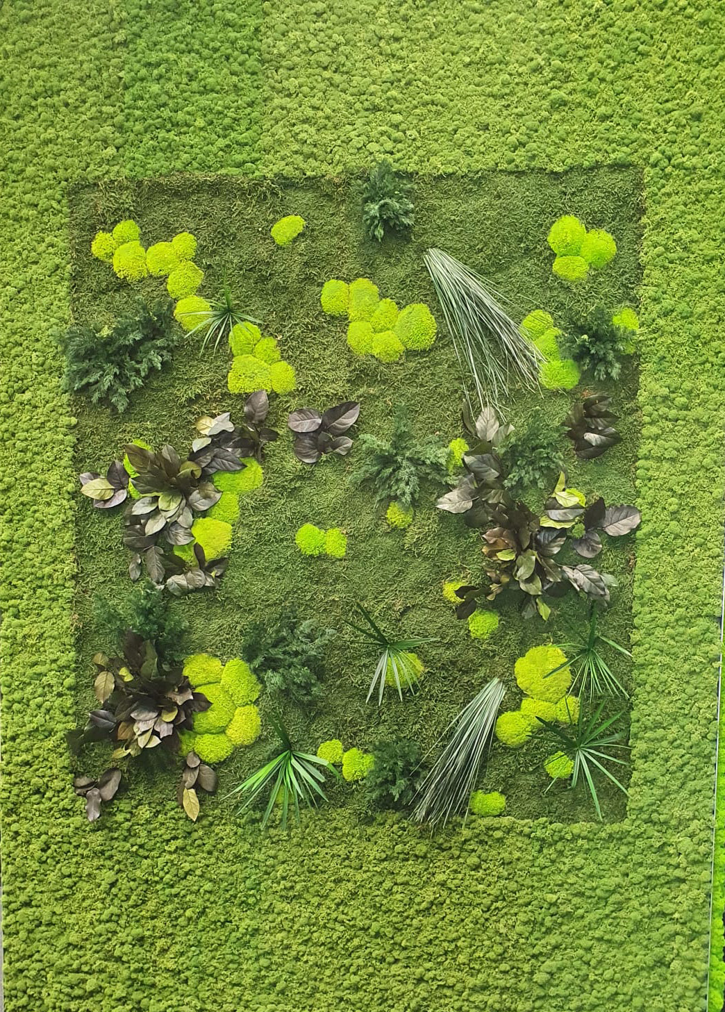 Pflanzenmooswand